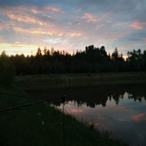 DSC_2610_K