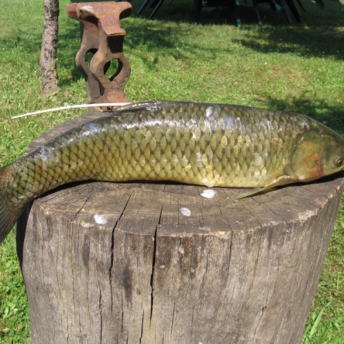 Lowisko_20100717_0001